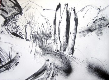 Danielle Creenaune (Australia)
Paisaje
Zinc Plate Lithograph
570mm x760mm